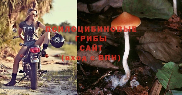 спайс Алексин